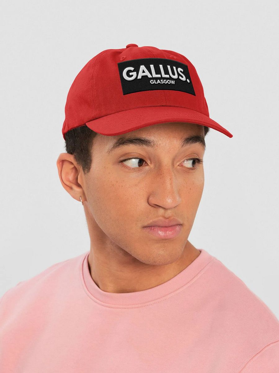Gallus Hats product image (6)