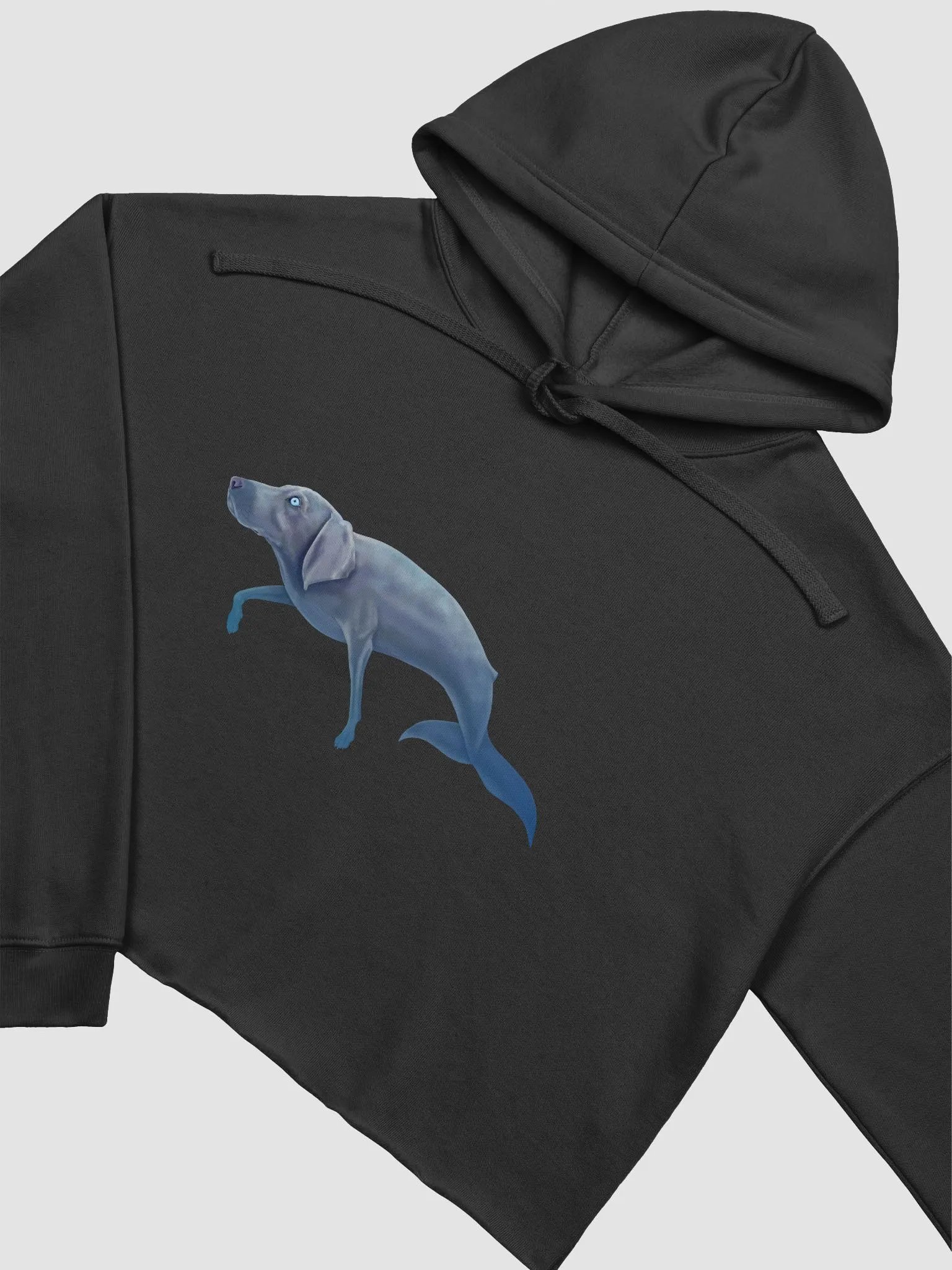 Whalemeriner Crop Hoodie product image (20)