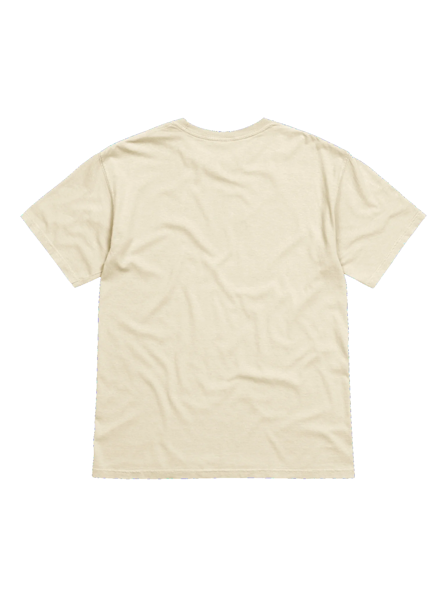 Trish's "Treachery of Images" shirt product image (2)