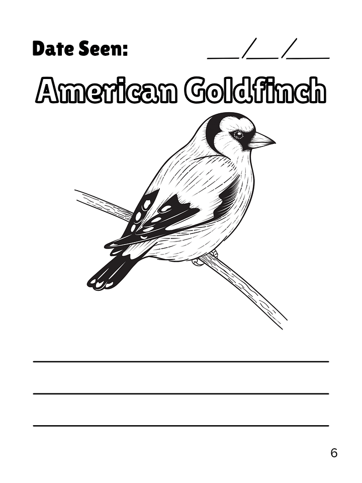 Birds I've Seen in Texas (A Birdwatching Coloring Book) product image (2)