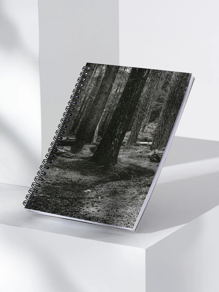 Hiking in the Buckhorn Wilderness Spiral Notebook product image (3)