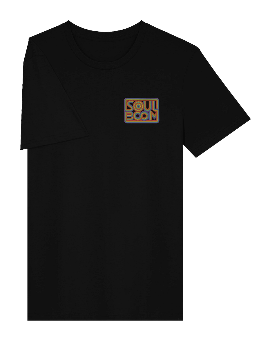 Smaller Rainbow Logo Shirt (100% Organic Cotton) product image (3)