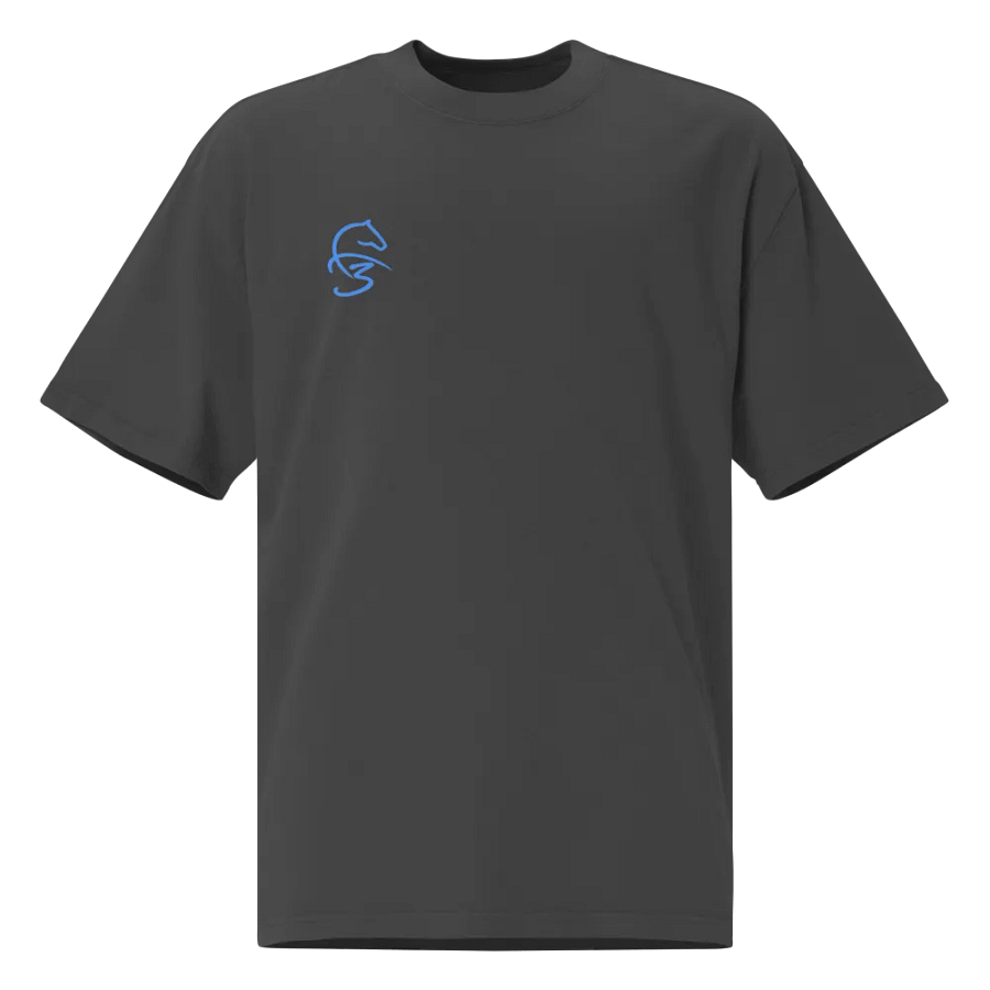 F3 Horse Logo Oversized Faded T-Shirt product image (1)