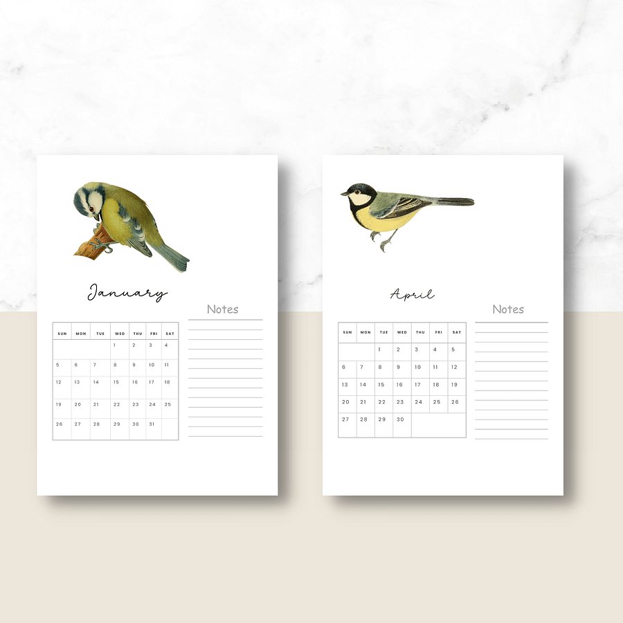 2025-2026 PDF Calendar: American Birds product image (4)