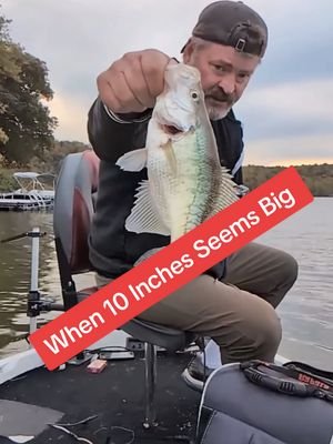 10 Inches Seems Huge on a Slow Day. #fishing #viral 