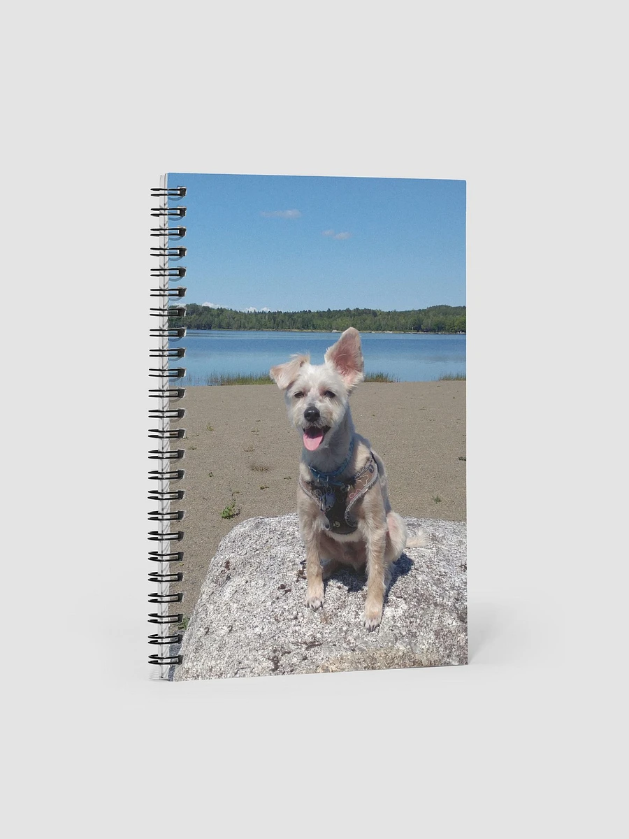 Mozzie At The Lake Spiral Notebook With Dotted Pages product image (1)