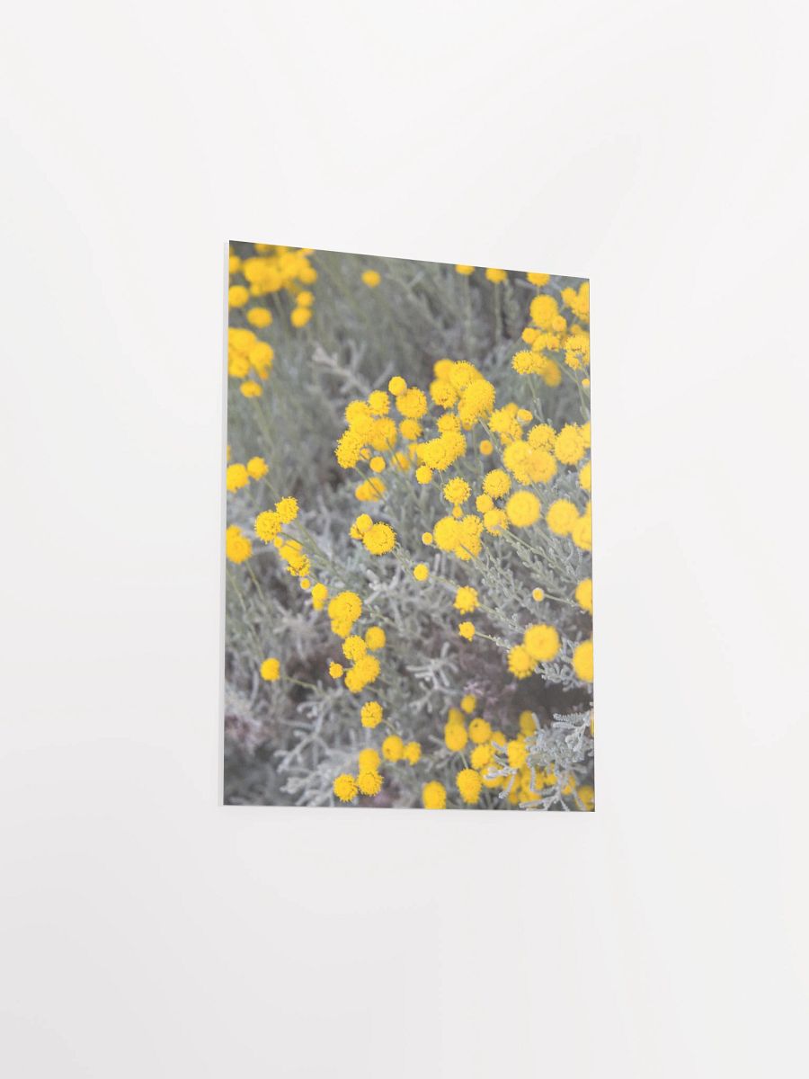Flores amarillas - Enhanced Matte Paper Poster product image (3)