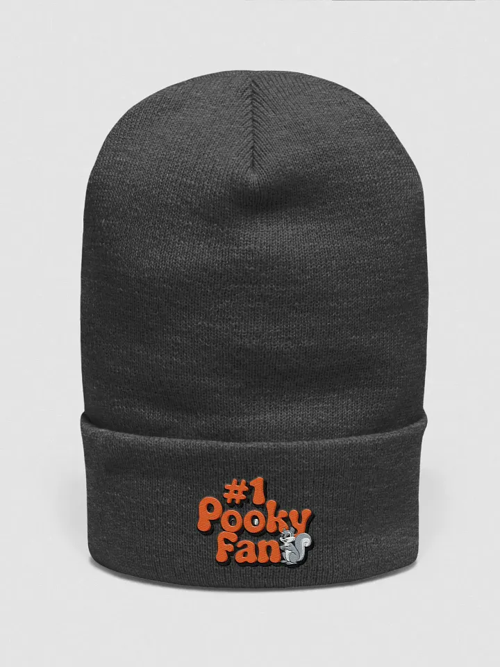 Pooky's #Fan 70s vibe supersoft beanie product image (1)
