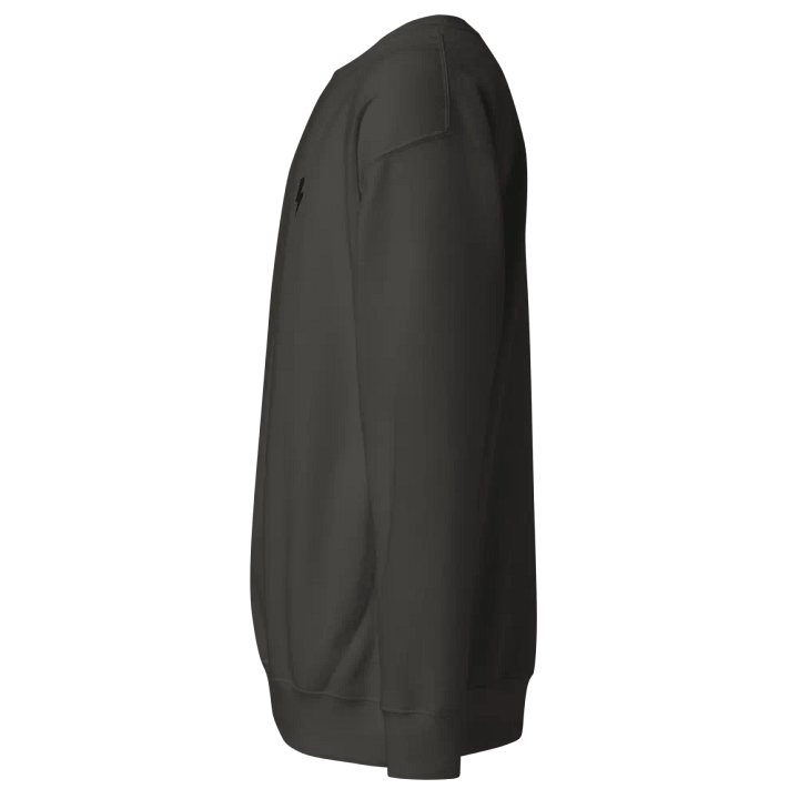 the bolt sweatshirt product image (38)