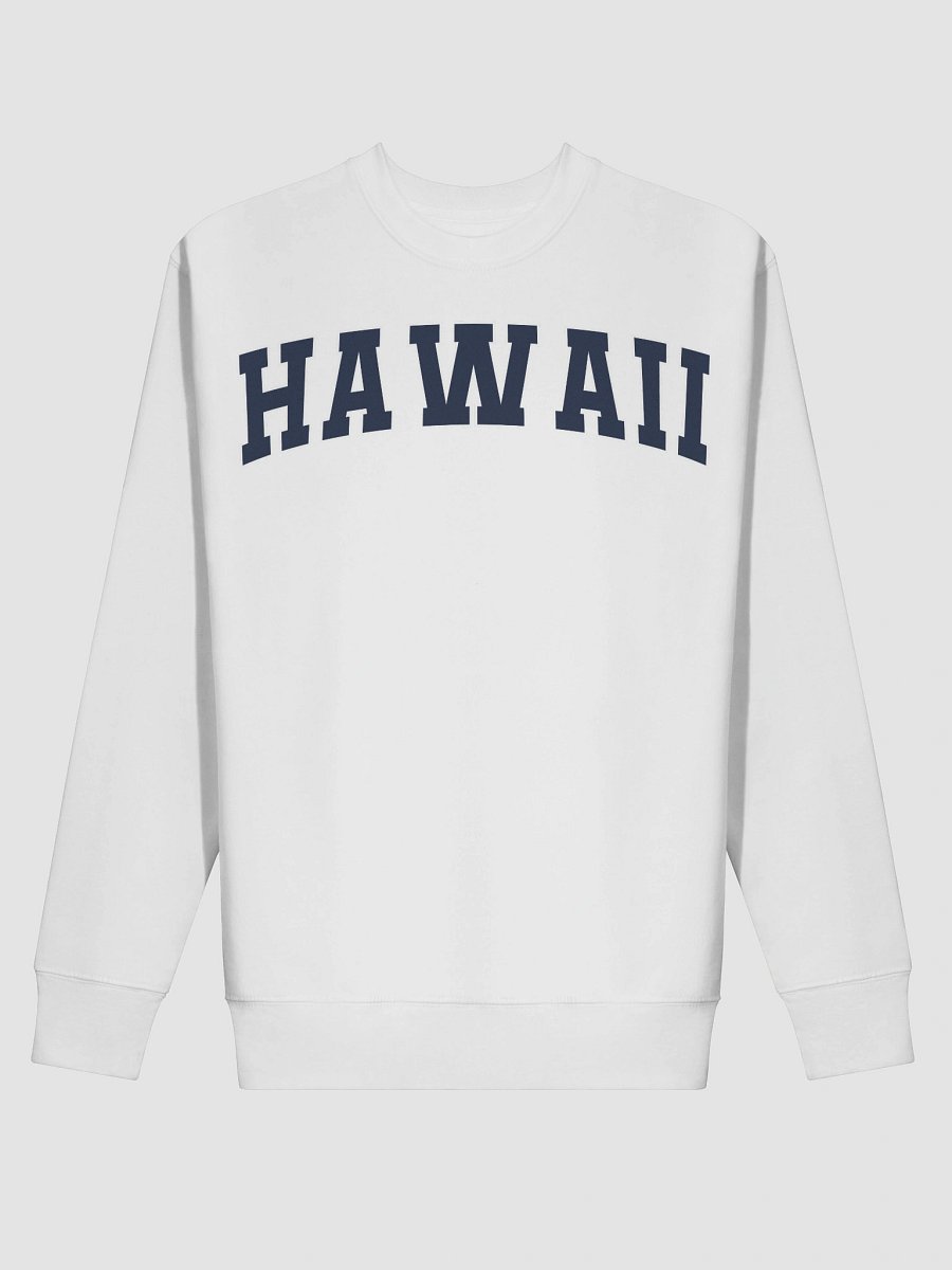 Hawaii Vintage Stylish Premium Sweatshirt product image (18)