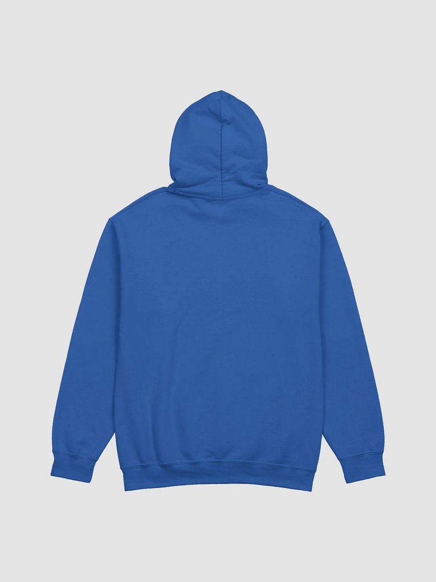 Lost Records: Bloom & Rage Kat Mikaelsen Grunge Hoodie product image (37)