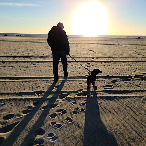 Today was Zeke's final walk on the beach. Tomorrow morning he will end his battle with dementia and join Mom, Grandma, and Ro...