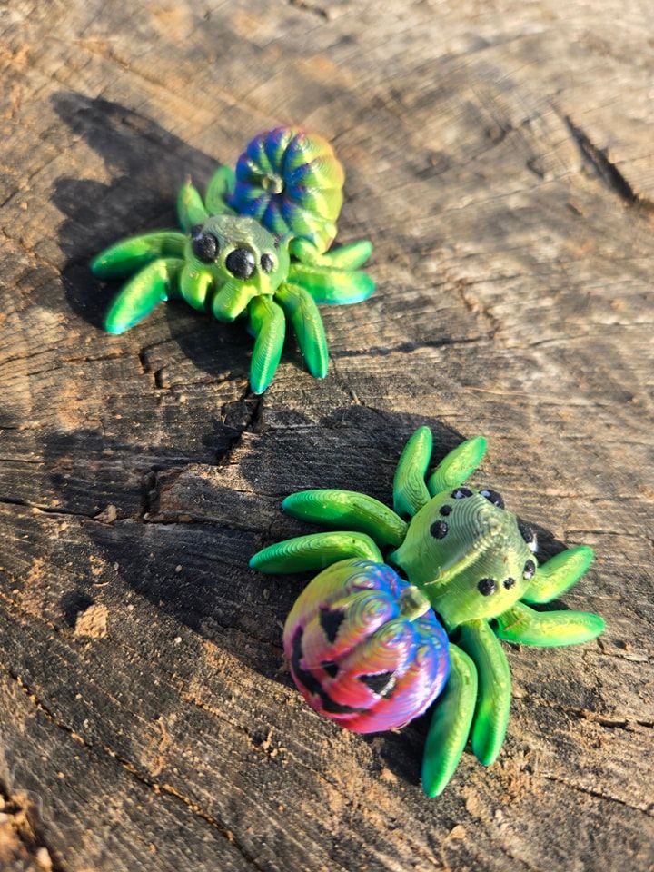Adopt a Spider! product image (3)