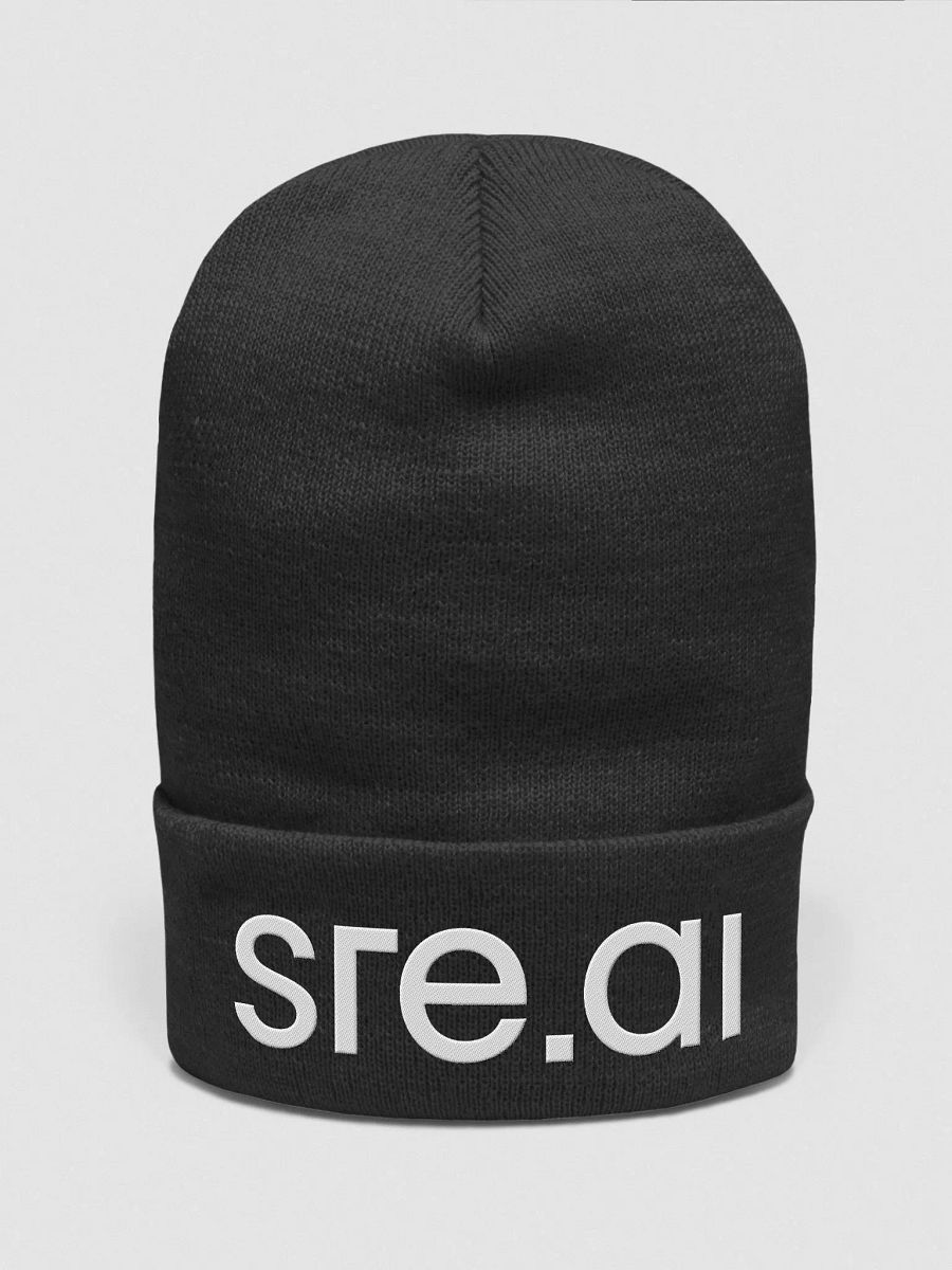 Beanie product image (1)