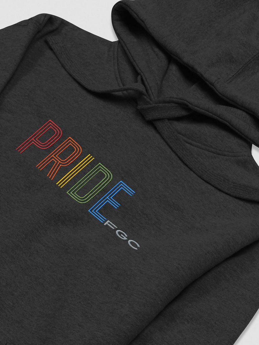PRIDEfgc Embroidered Hoodie product image (3)
