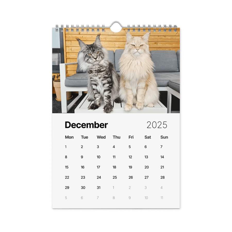 2025 Calendar - Maine Coon Adventures + Kittens product image (4)