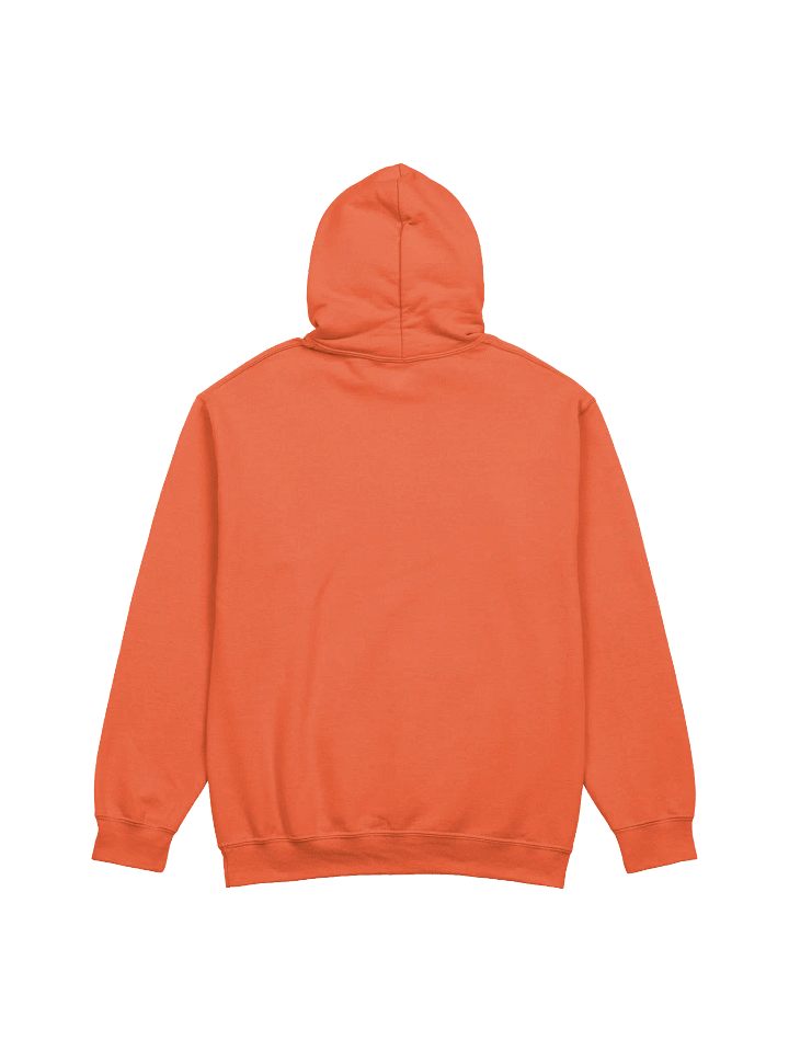 DJ CORGI unisex hoodie product image (2)