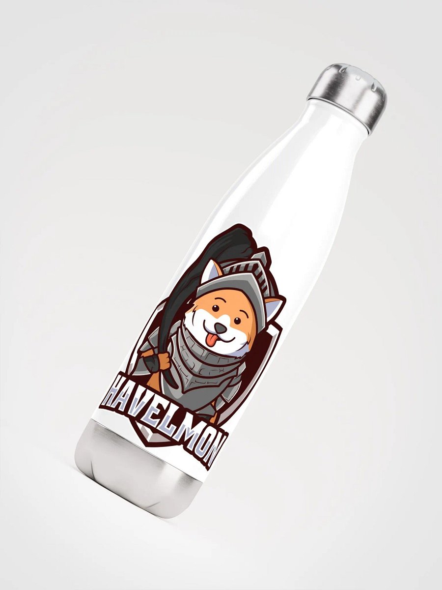 stainless steel water bottle product image (4)