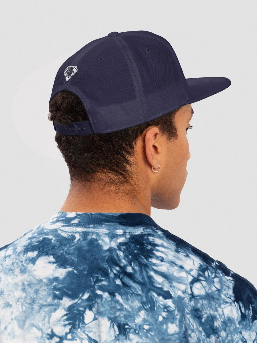 VIP Space Lion Snapback product image (107)