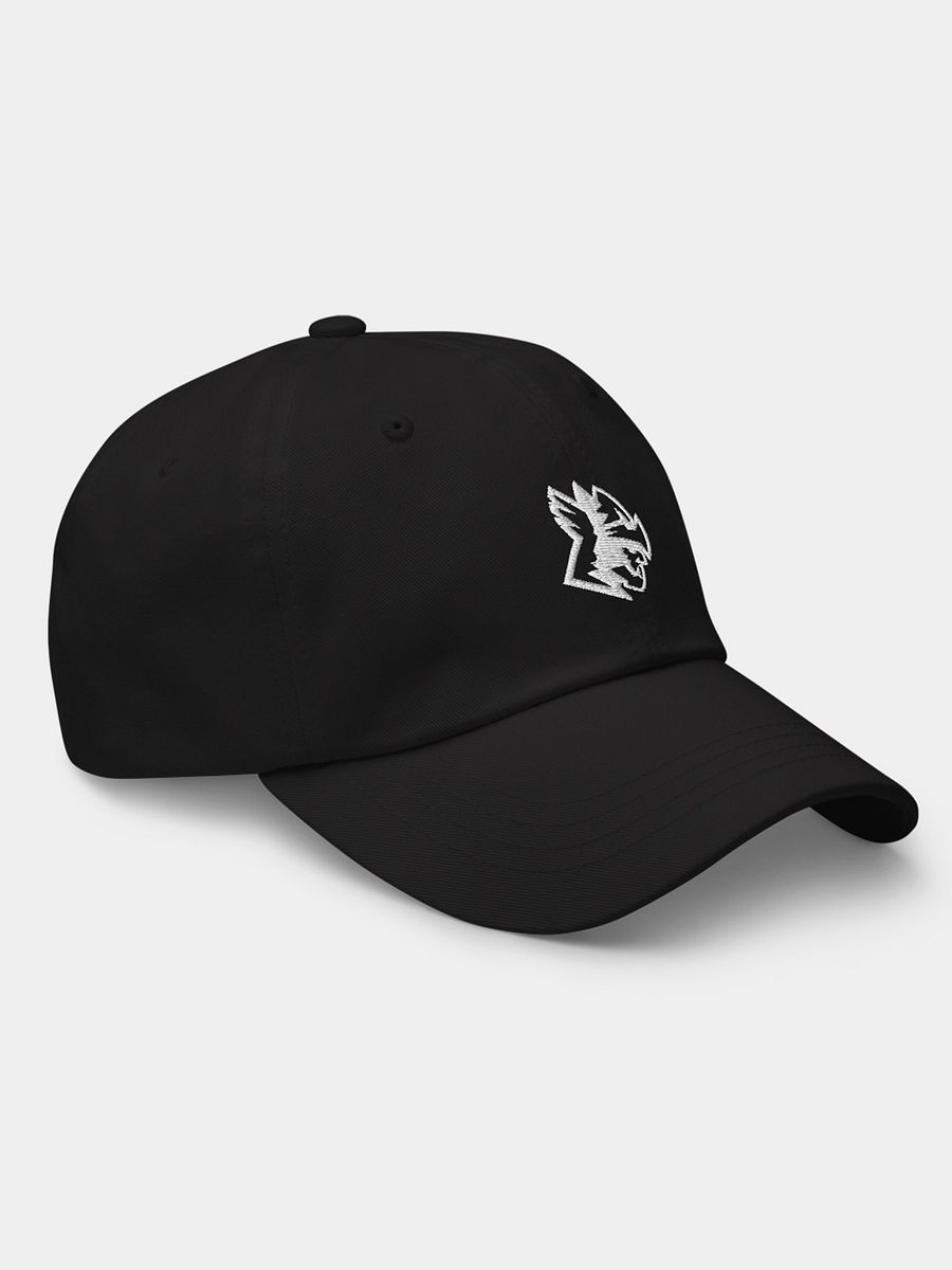BarbarianBody Embroidered Black Dad Hat (48-hour Early Bird Discount) product image (5)
