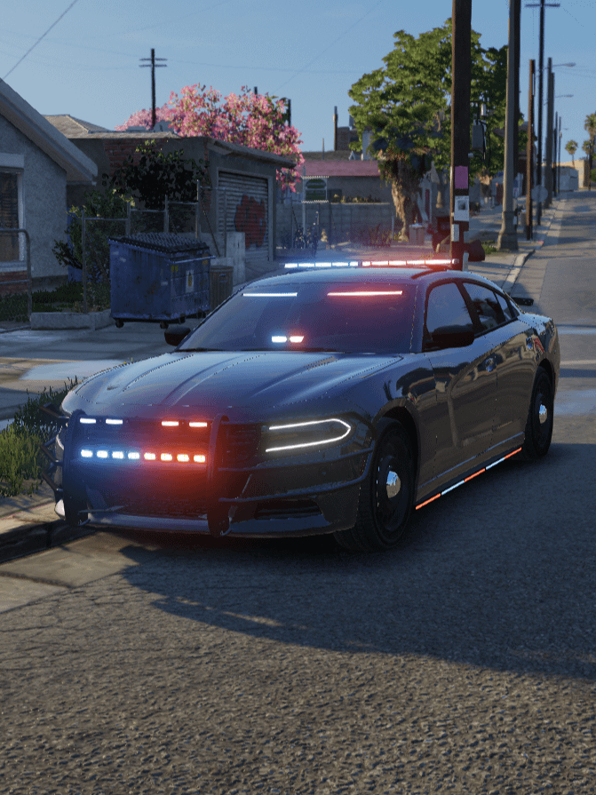 2019 LEO Bravado Buffalo product image (4)