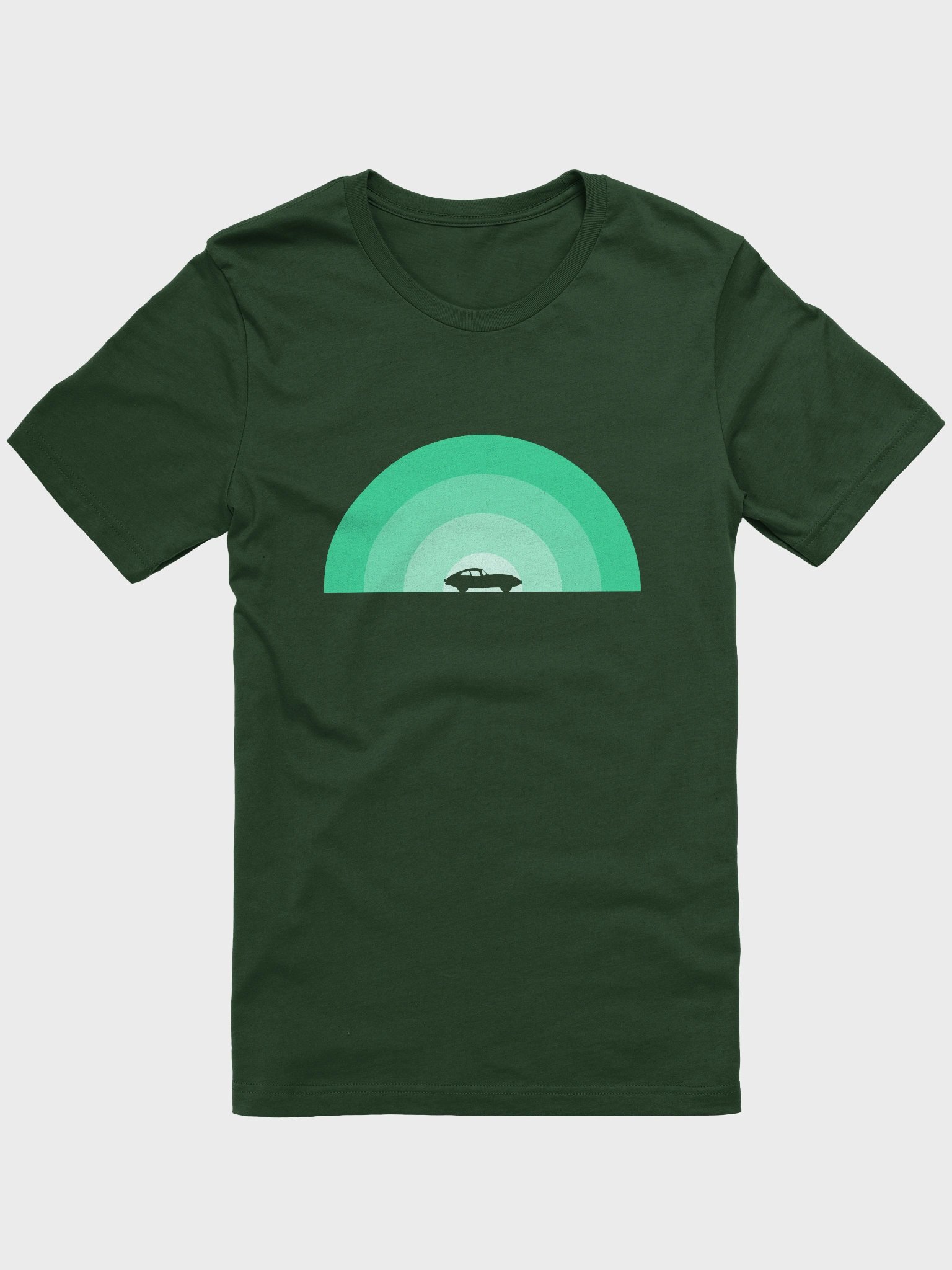 Jaguar E-Type Monochrome Rainbow (Green) product image (13)