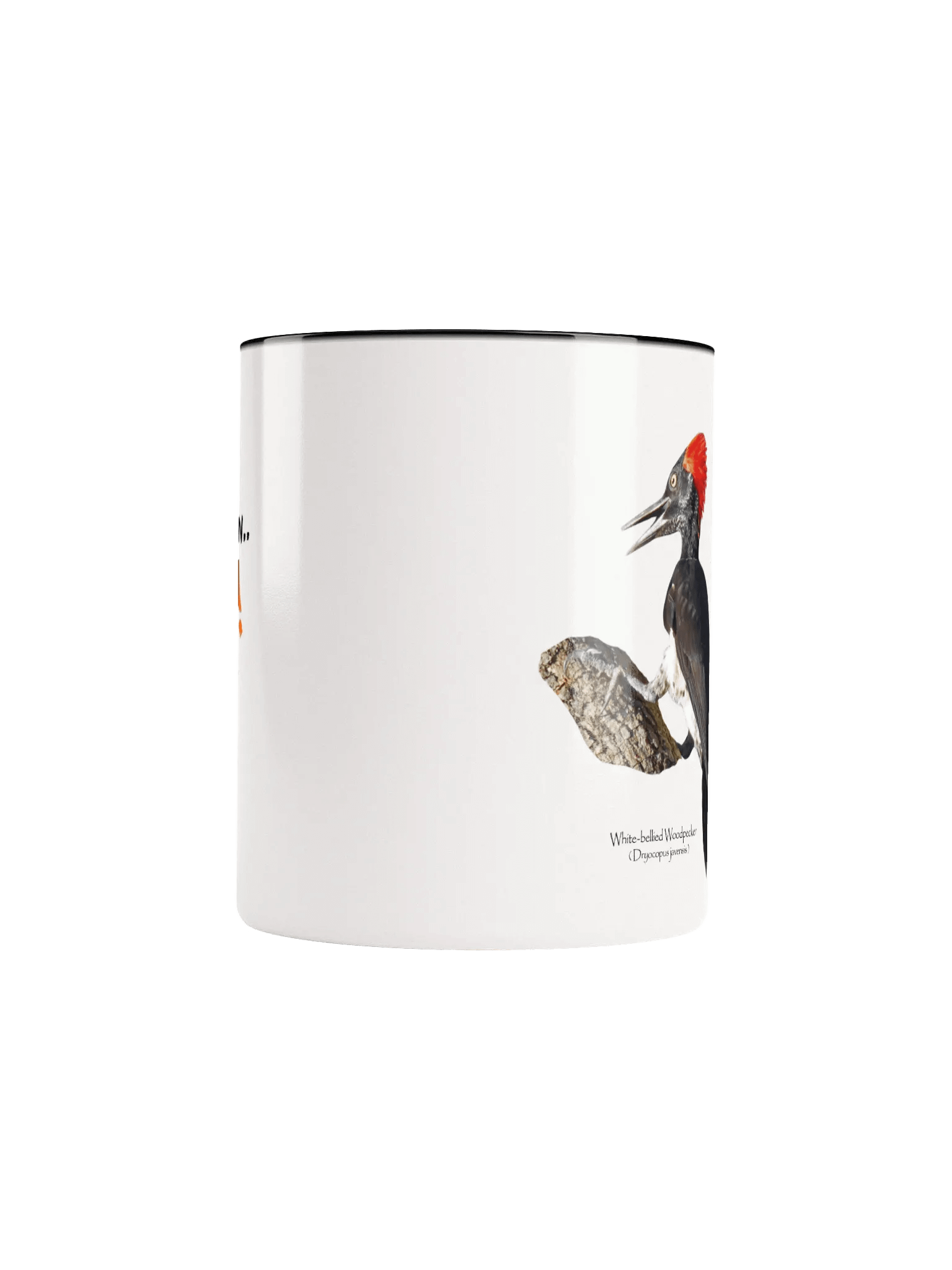 White-bellied Woodpecker mug product image (48)