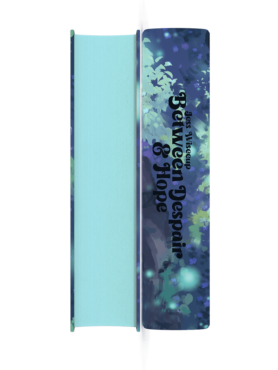 Between Despair and Hope Special Edition product image (2)