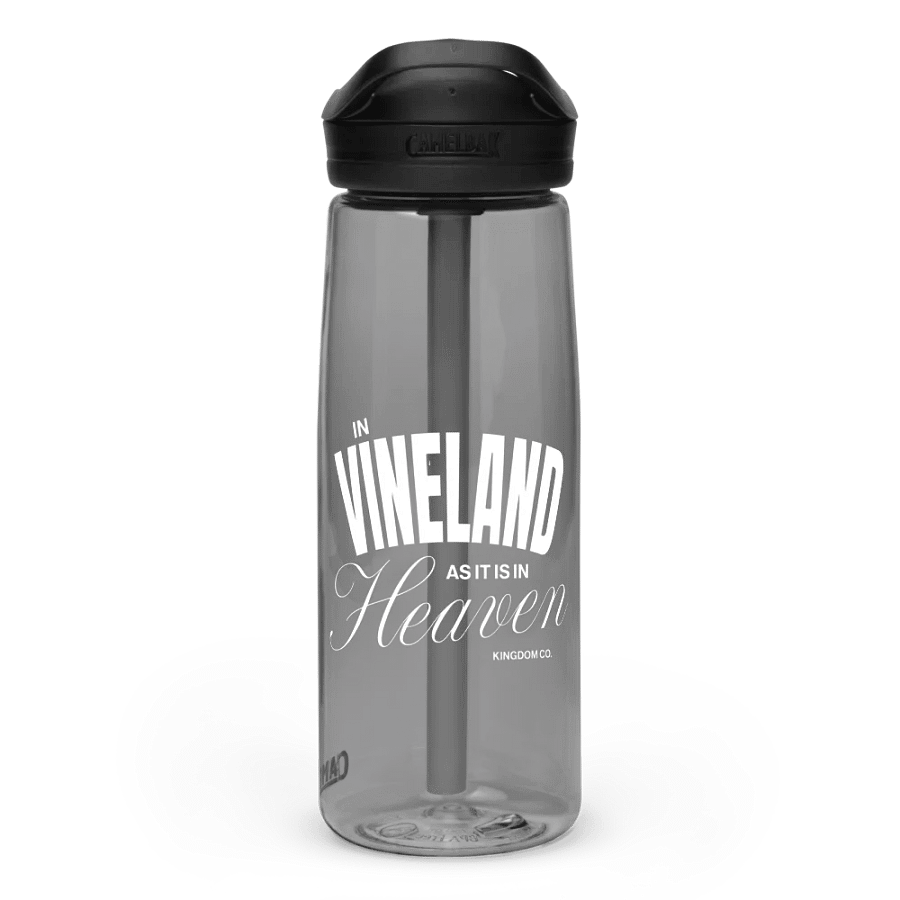 In Vineland As It Is In Heaven product image (3)