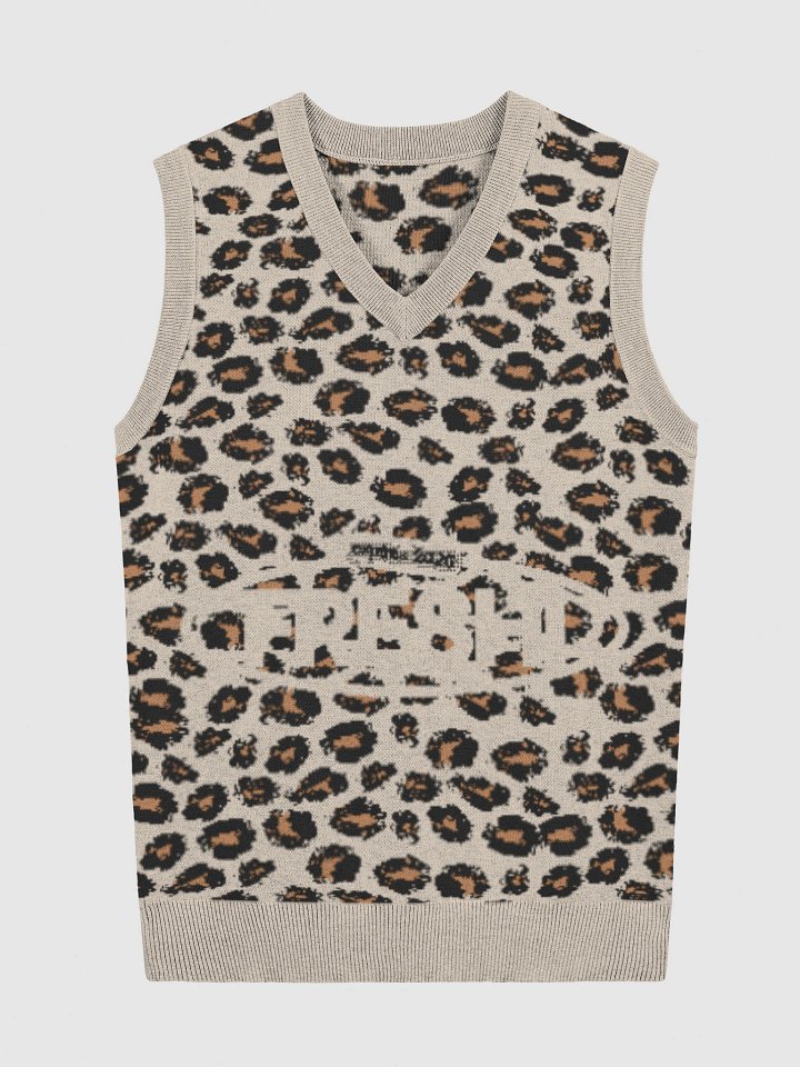 Freshi Simple Leopard V-Neck Sweater product image (4)
