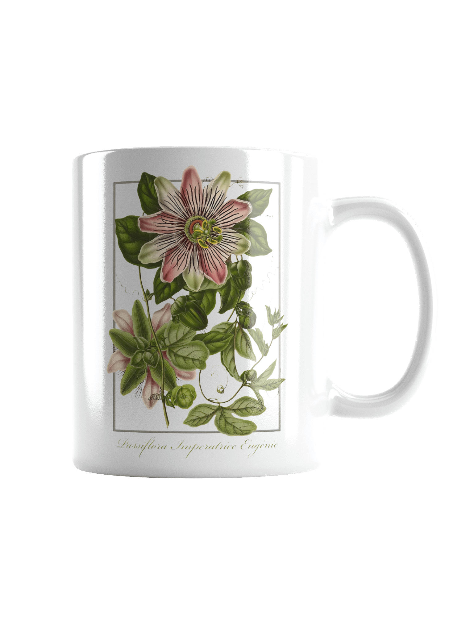 Passionflower (Passiflora imperatrice eugénie) Ceramic Mug product image (2)