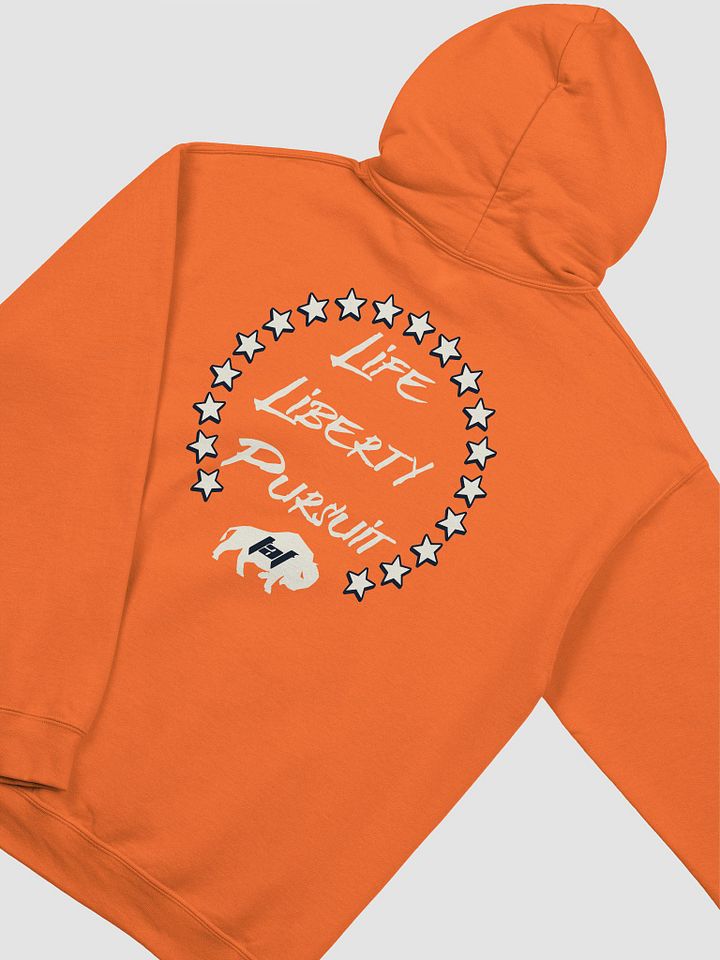Life, Liberty, Pursuit Hoodie product image (55)