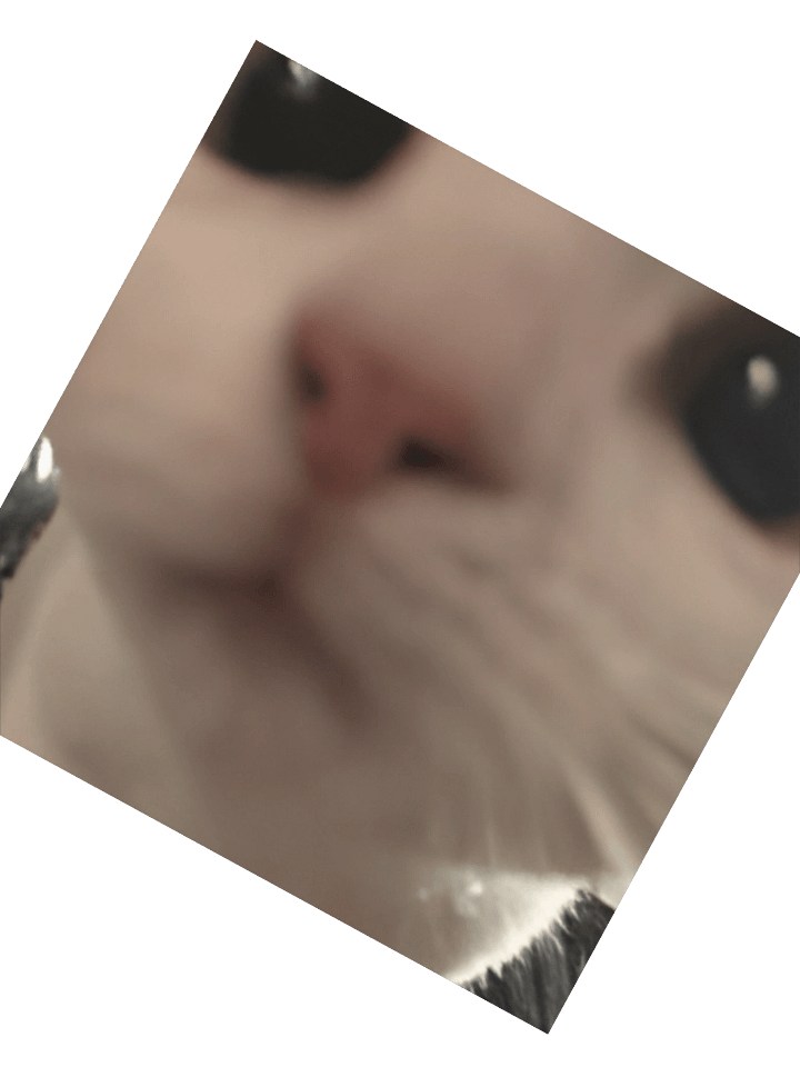 Emoji Catstare product image (2)