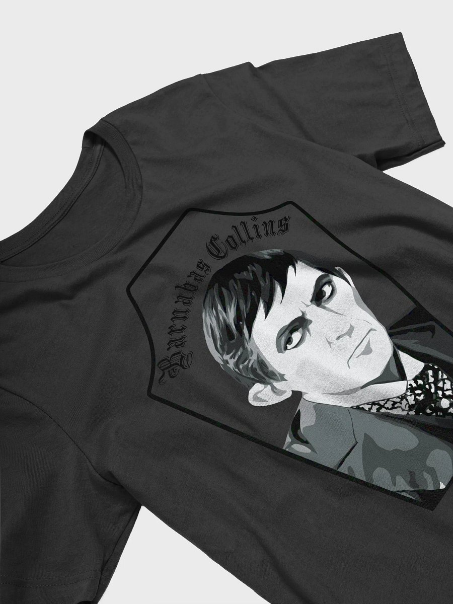 Barnabas Collins – Velvet, Vampirism & Victorian Gloom product image (28)
