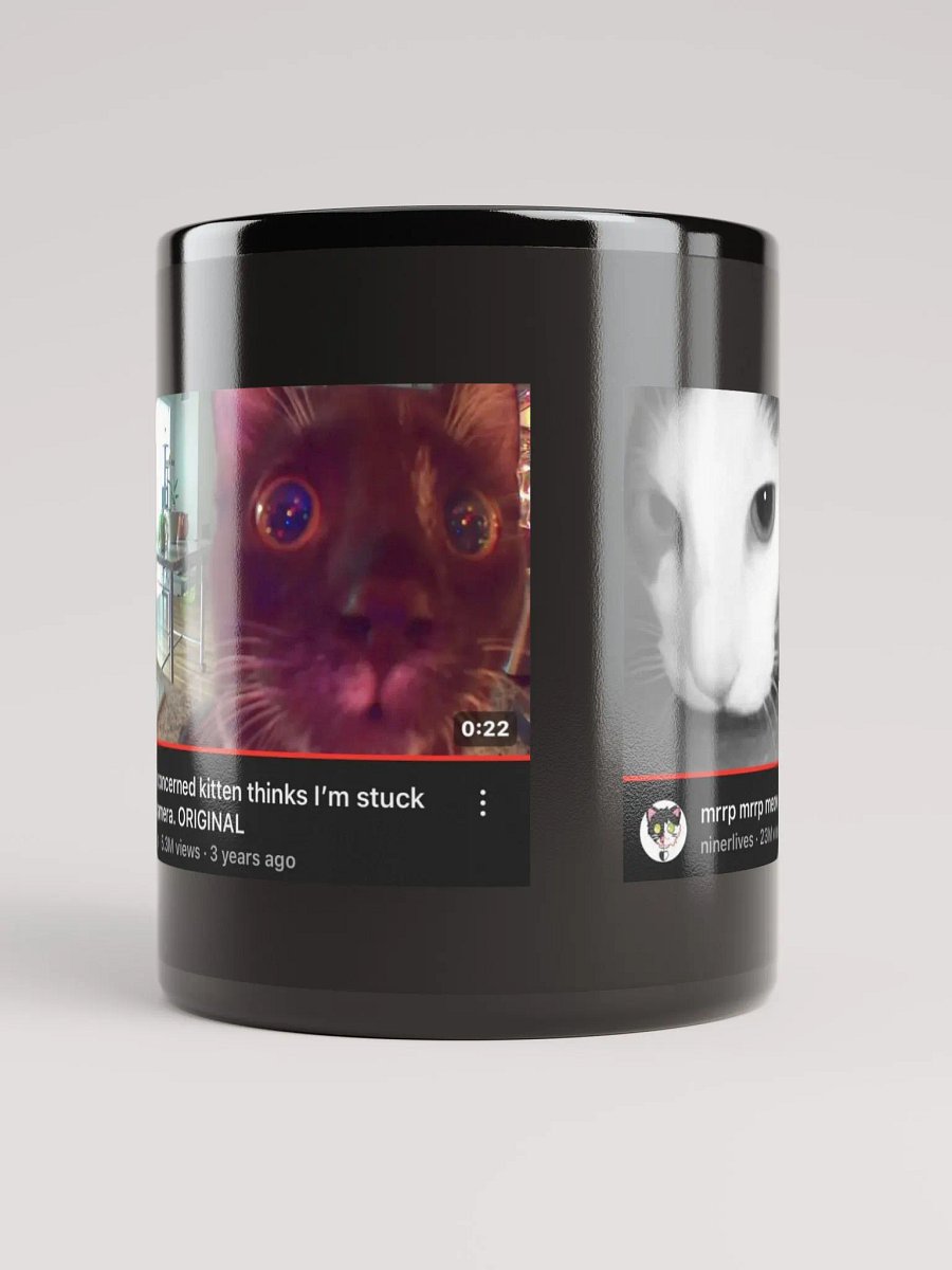 Heckin Concerned and mrrp mrrp meow mug! product image (10)