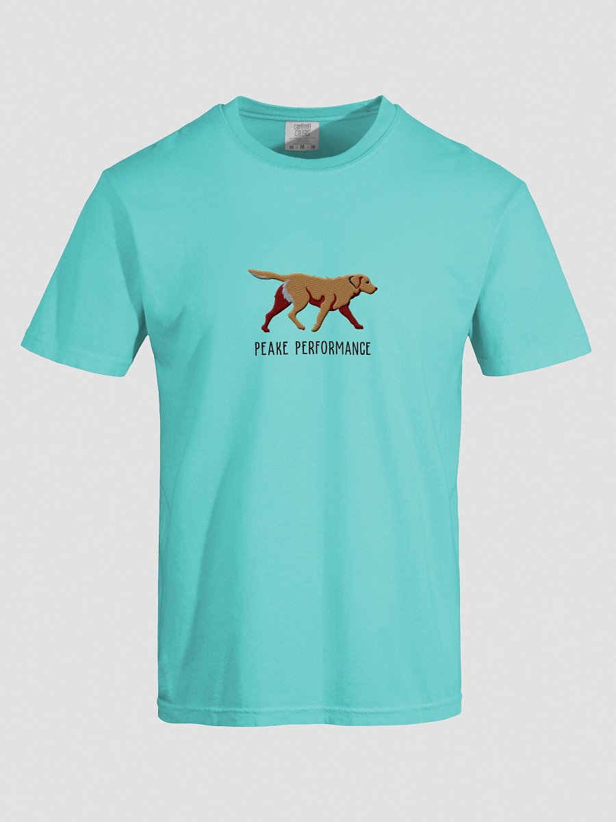 Peake Performance T-Shirt(Embroidered) of a Chesapeake Bay Retriever(Tan) product image (37)