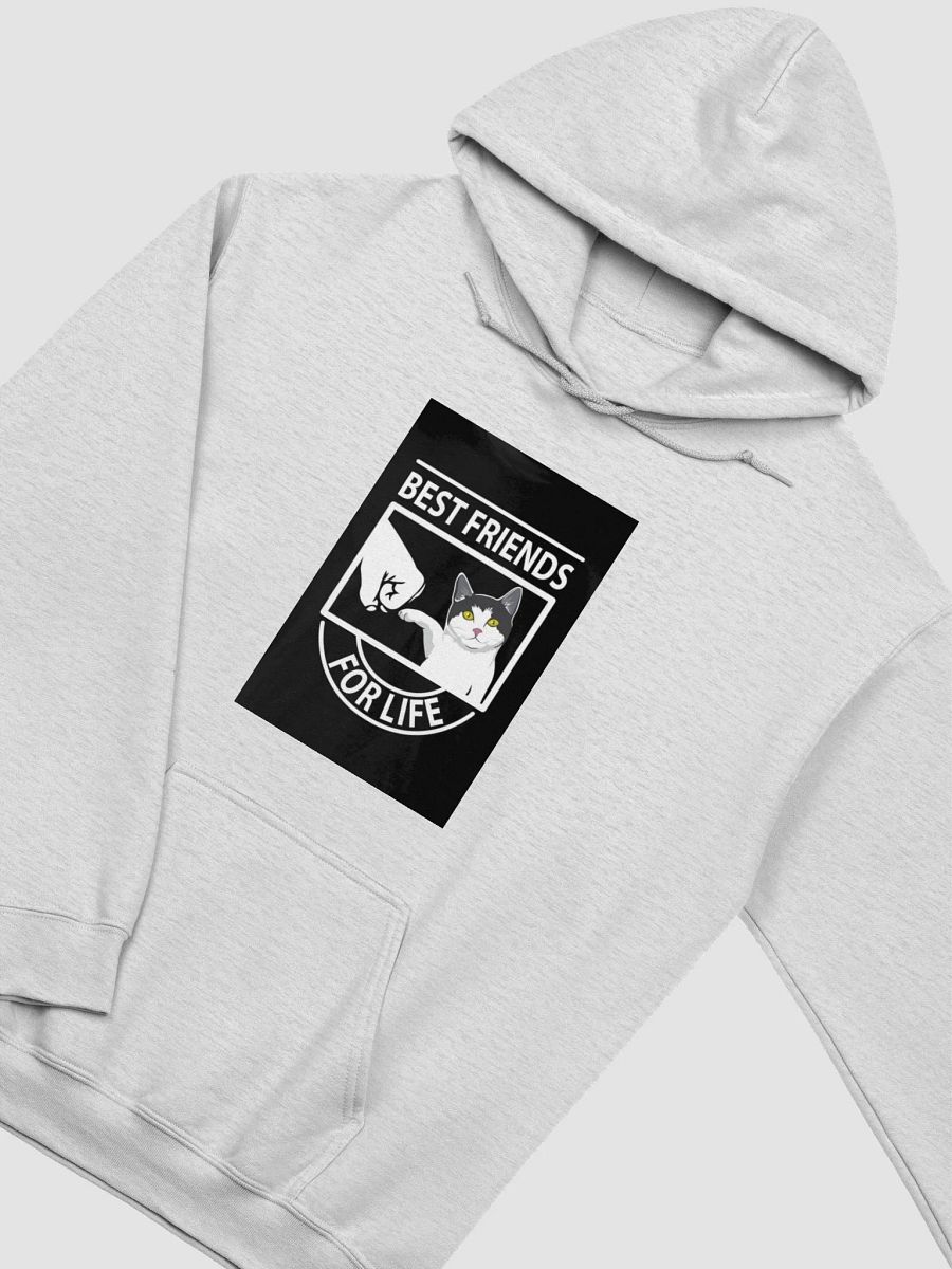 Pawsitively Best Friends Unbeatable Hoodie product image (33)