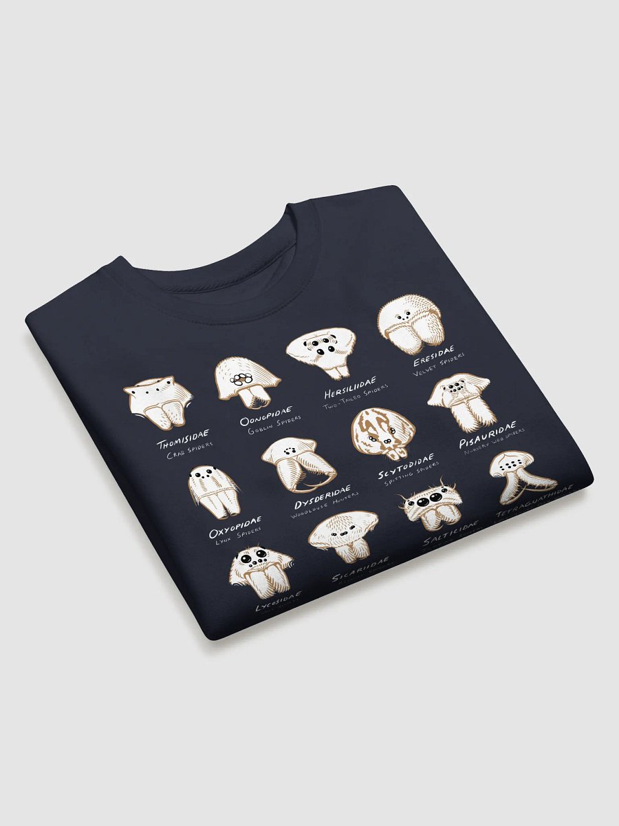 Spider Families Eye Arrangements Sweatshirt product image (17)