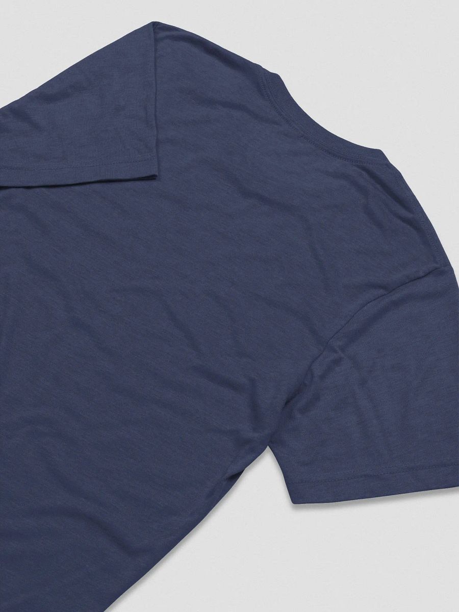 Fancy College T-Shirt (Triblend) product image (16)