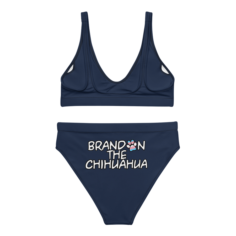 High waist 2 Piece Swimsuit product image (2)
