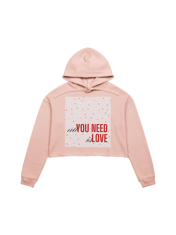 Love is All You Need Crop Hoodie product image (1)