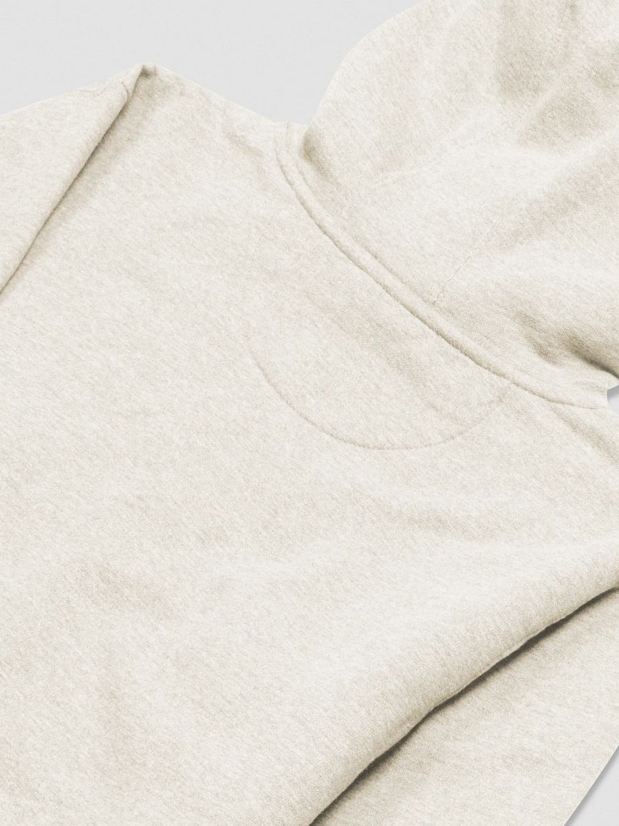 CHONKIE EMBRODERED HOODIE product image (4)