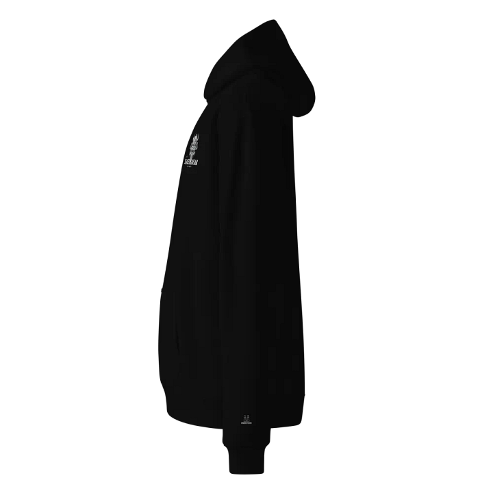 Scandinavian Defense Embroidered Hoodie product image (2)