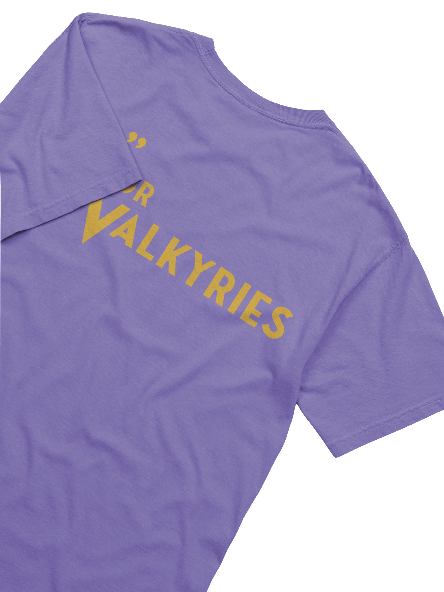 "V" for Valkyries T-Shirt product image (16)