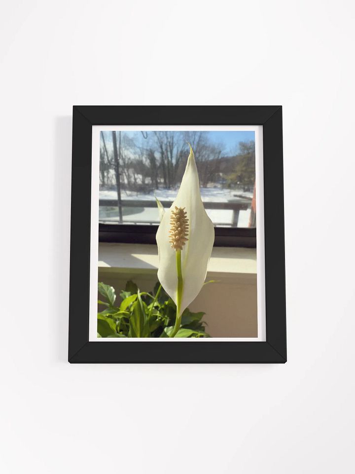 Hope print product image (3)