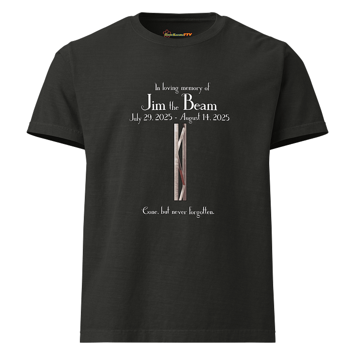 Jim the Beam Oversized Tee product image (1)