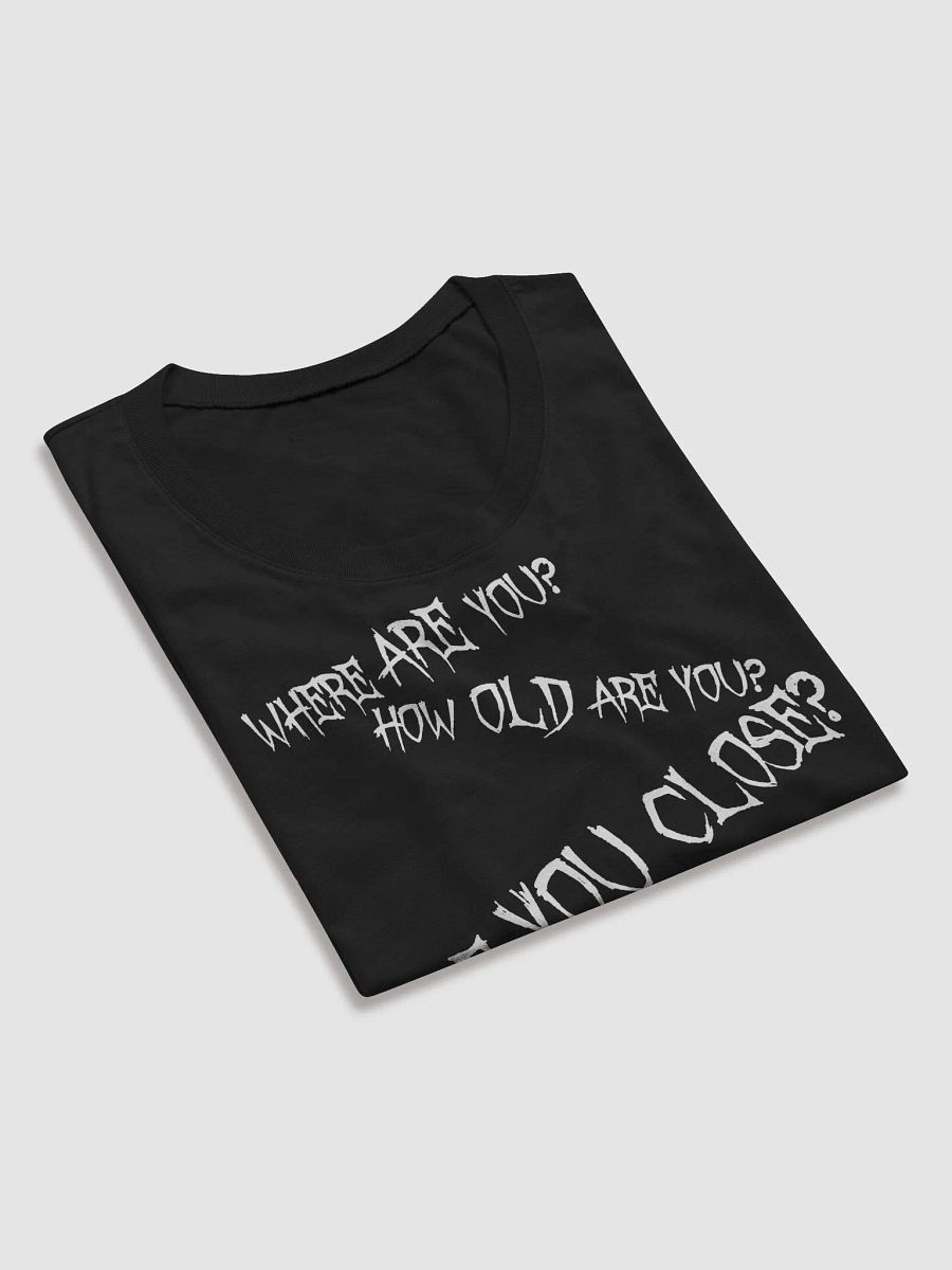 Spirit Box Ladies Premium T-Shirt product image (33)