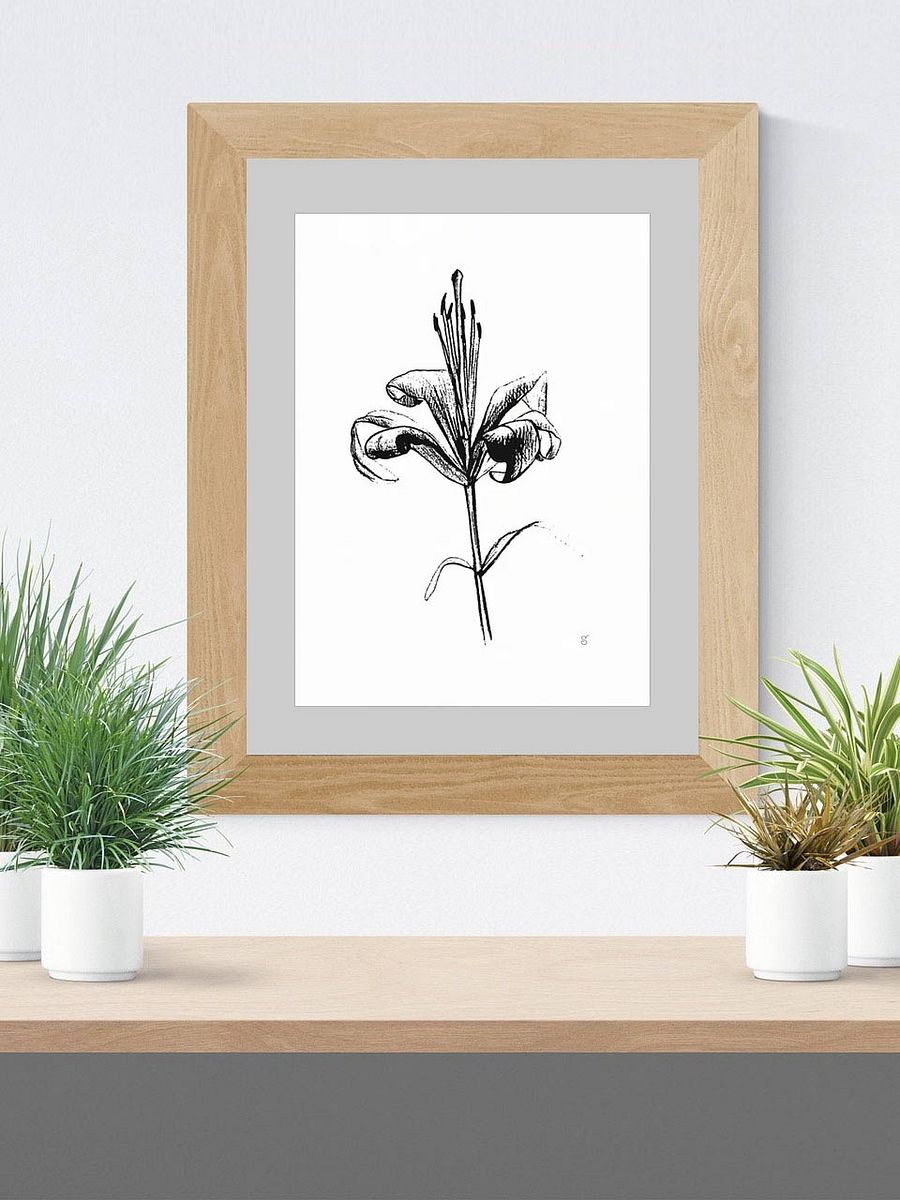 Lily Elegance Poster - Fine Flower Light product image (5)