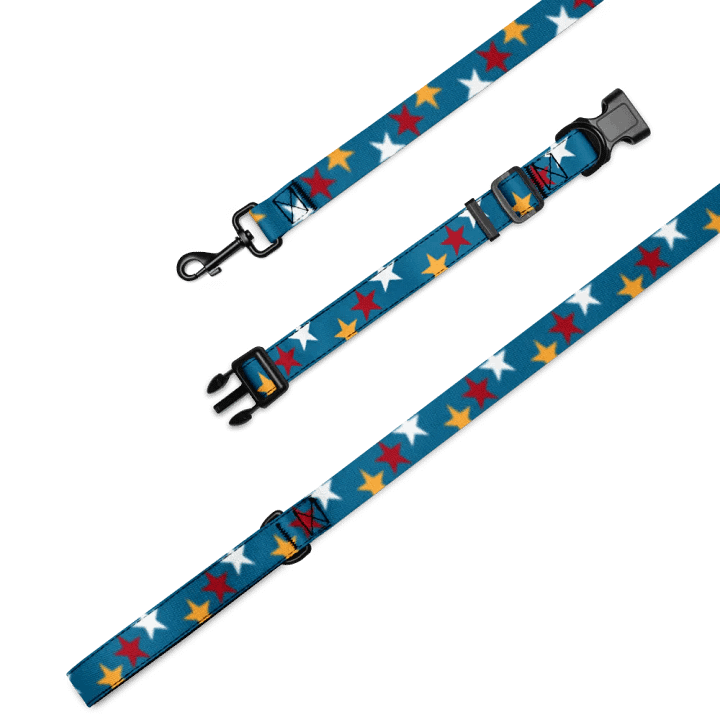 The Bonesdale Pet Collar & Leash product image (1)