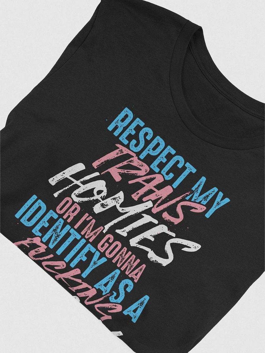 RESPECT TRANS HOMIES product image (29)
